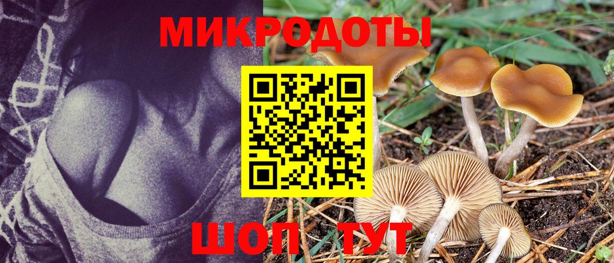 Саратов  Галлюциногенные грибы GOLDEN TEACHER  Вход с VPN 